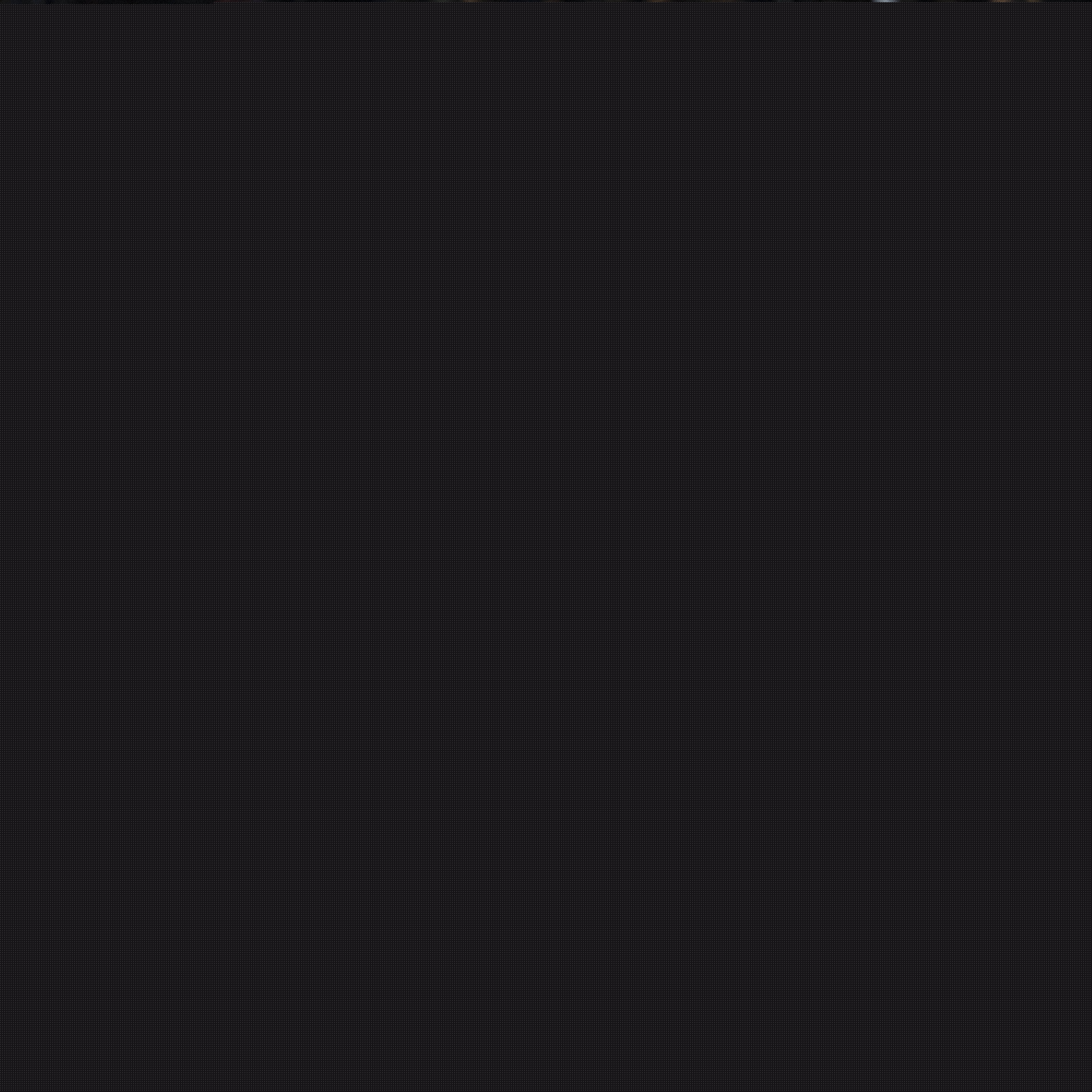 他们始终无